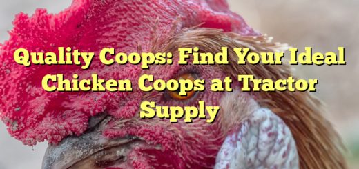 Quality Coops: Find Your Ideal Chicken Coops at Tractor Supply 
